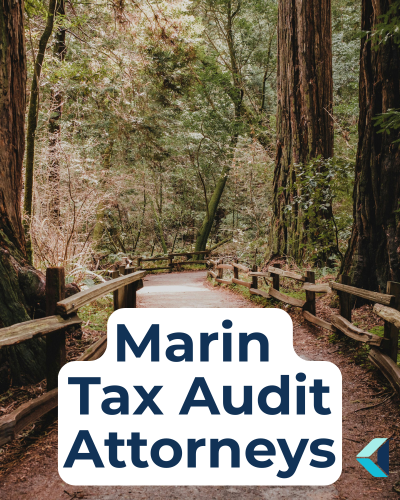 A walking path in Muir Woods, an iconic image of Marin County living, representing Kugelman Law's tax audit attorney services in Marin County, CA.